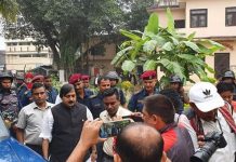आलमलाई दोस्रो पटक ५ दिनको म्याद थप