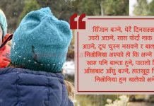 चिसोबाट जोगाउन यी कुरामा ध्यान दिनुस् चिसो मौसममा अचुक औषधि हो सुन्तला