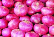 फेरि प्याजको भाउ बृद्धि हुदै