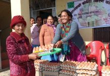 सिम्ता गाउँपलिकाले सुत्केरी आमालाई उपाध्यक्ष कोसेली वितरण गर्यो