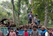 अत्यधिक चिसो र शीतलहरबाट आगो ताप्ने काठ उपलब्ध गराउदै ः पमुख पशासकीय अधिकृत गुप्ता