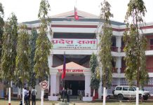 प्रदेश २ को संसद आज पनि अवरुद्ध : मन्त्री माथि महिला सांसदद्वारा हातपात