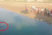 गाैर नजिक रहेका लाल बकैयामा एक जनाकाे शव फेला