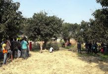 सिरहामा टाउको काटिएको अवस्थामा शव फेला