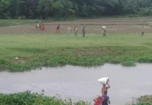 नामको लागि मात्र गौर बैरगनिया बोर्डर सिल महादेव पट्टी नाका २४ अौं घण्टा खुलेको !