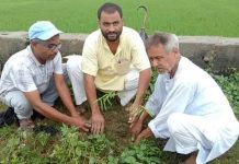 विपीको ३८ औं स्मृति दिवस अवरमा नेपाली कांग्रेस रौतहट द्बरा वृक्षारोपण