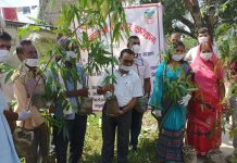 प्रसौनी गाउँपालिकामा वृक्षा रोपन कार्यक्रम सम्पन्न