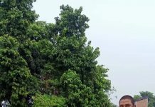 दुर्गाभगवती गाउँपालिकाले विपन्न परिवारलाई जस्तापाता वितरण