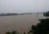 नारायणी नदिमा जलसतह खतरा भन्दा माथि