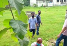 ने.बि.संघ,पर्सा द्वारा बृक्षा रोपन कार्यक्रम सम्पन्न