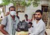 पत्रकार दास समाजसेवामा व्यस्त