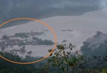 बाढीमा फसेर रूखमा बसेका एकै परिवारका पाँच जनाको उद्दार