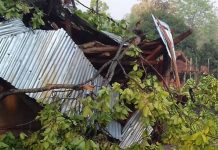 हावाहुरीका कारण रौतहटमा १ जना , धनुषामा २ जनाको मृत्यु