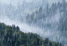 आगामी चौबीस घण्टाः देशका अधिकांश स्थानमा पानी पर्ने, भारी वर्षाको सम्भावना