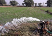 मिटरब्याजीद्वारा सर्लाहीमा चार बिघा जमिन पीडितलाई फिर्ता