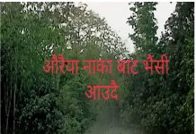 रौतहटको बिभिन्न नाकाबाट तस्करी मौलाउदै, सुरक्षाकर्मी, भन्सार प्रमुख मालामाल हुदै ।