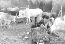 चिसोबाट अझै ९ दिन जोगिनुहोस् !
