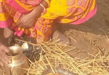 दैनिक सैयौं मानिसले पूजा गर्दै आएको सर्प मृत फेला