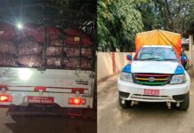 ४२ लाखभन्दा बढी मूल्यको प्याजसहित दुई वटा गाडी नियन्त्रणमा