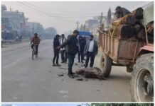 चिसोको प्रभावलाई मध्यनजर गर्दै गरुडा र राजपुर नगरपालिकामा काठ वितरण